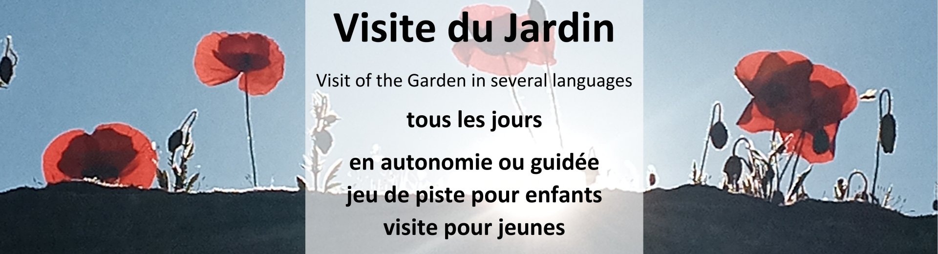 jardin-672a2e23b86c9733392666.jpg